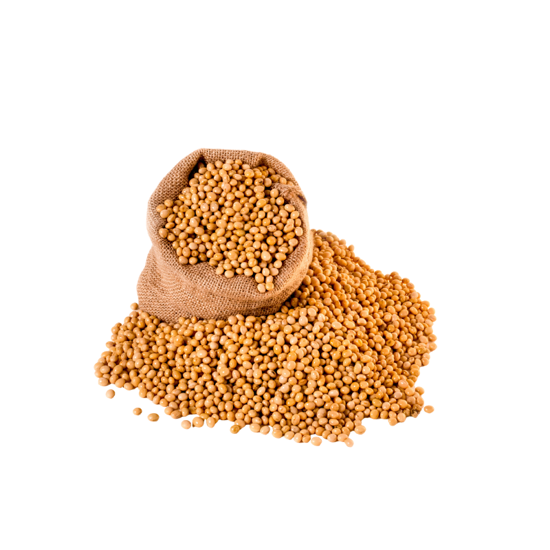 Fenugreek