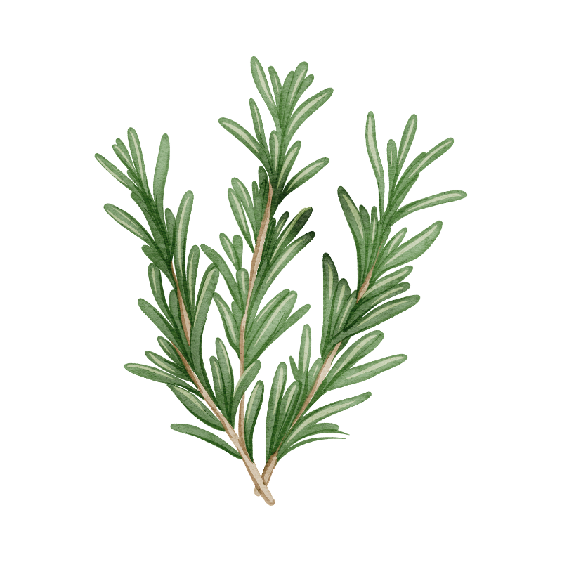 Rosemary
